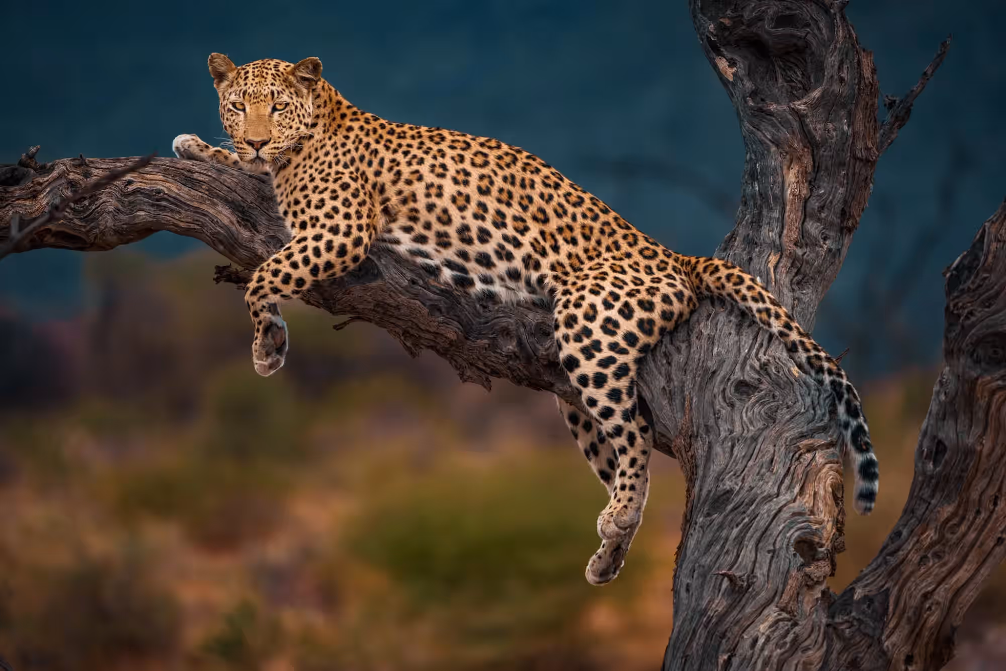Bwabwata-National Park