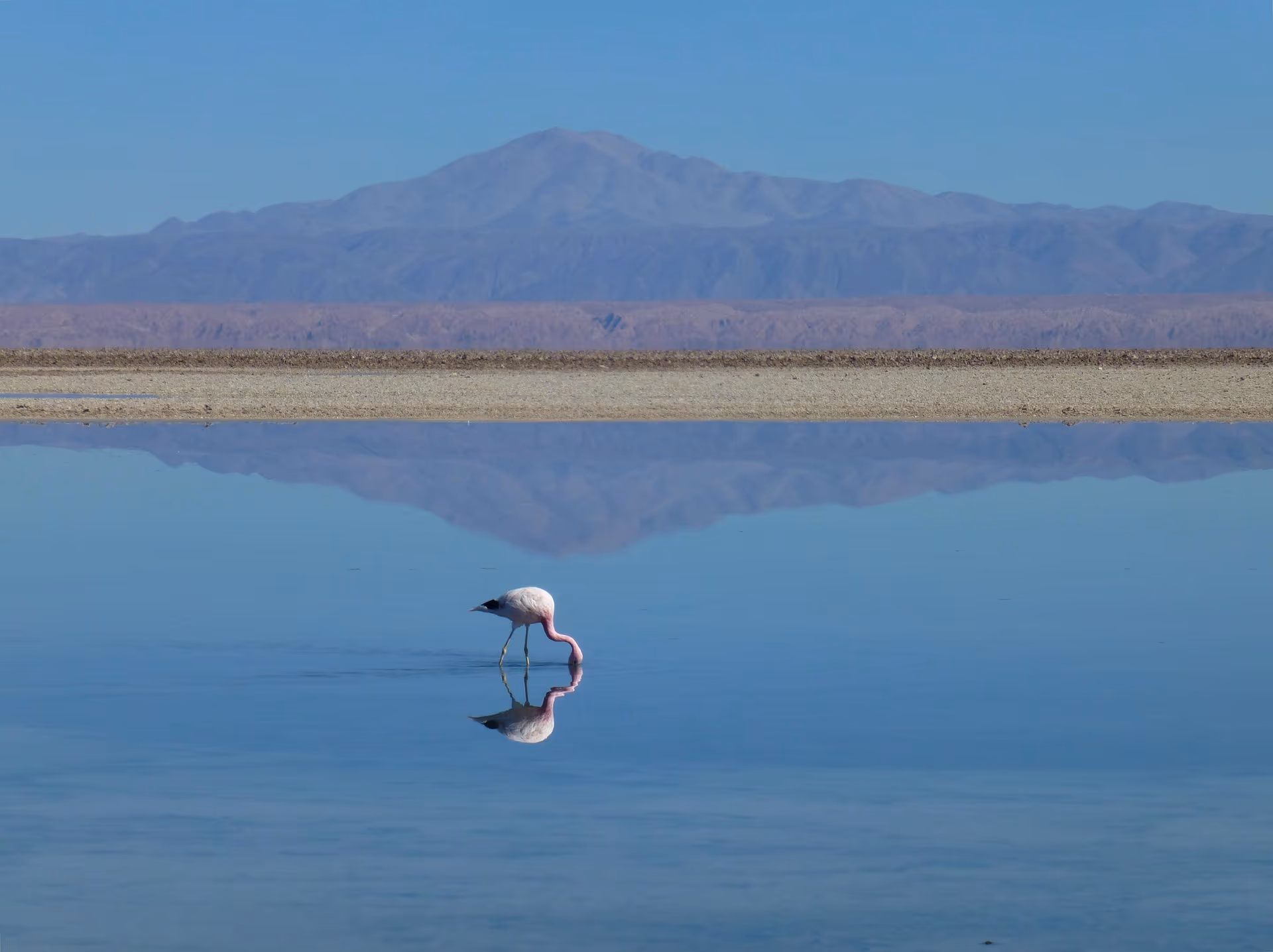 Lake Eyasi