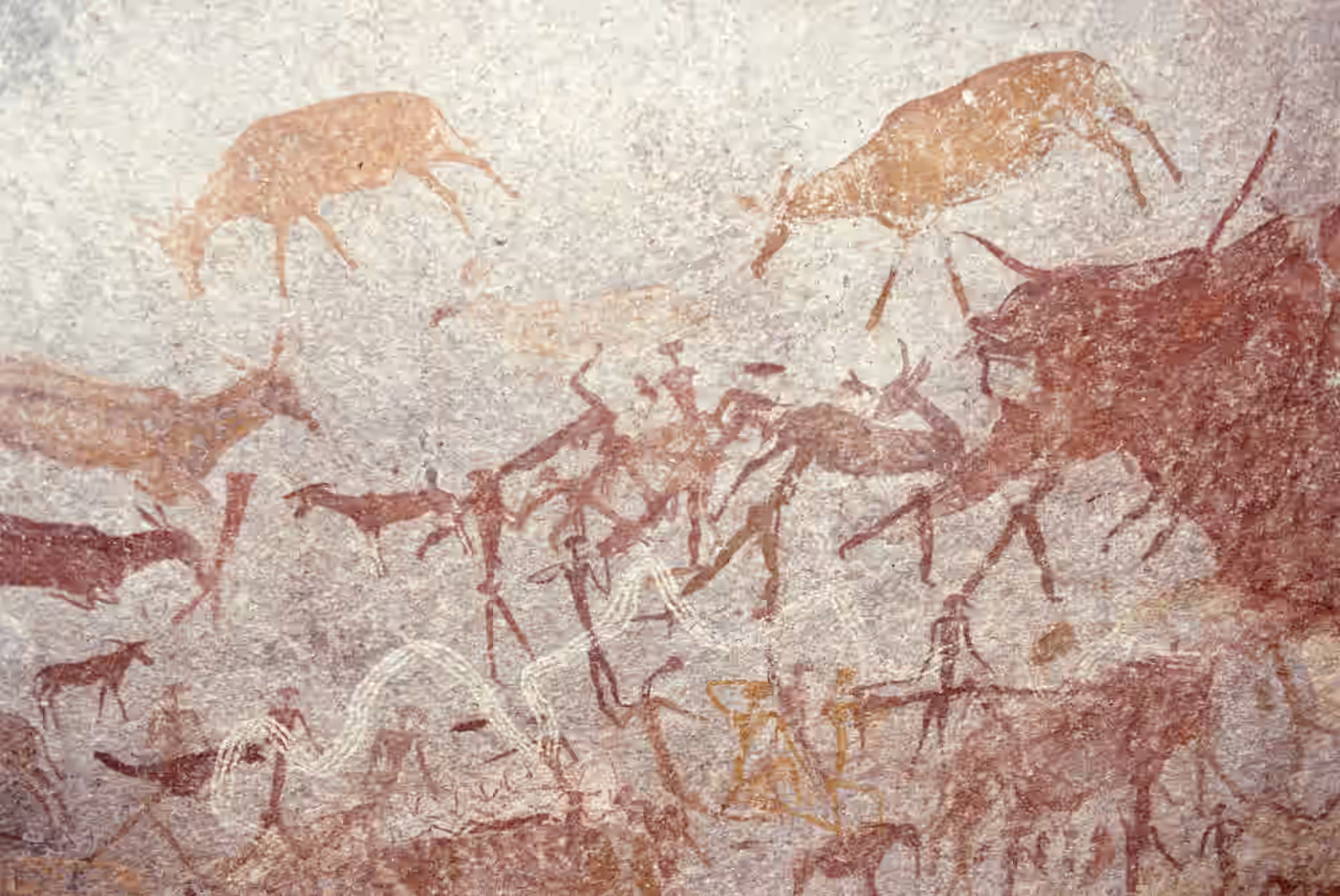 Matobo Hills National Park gallery 1