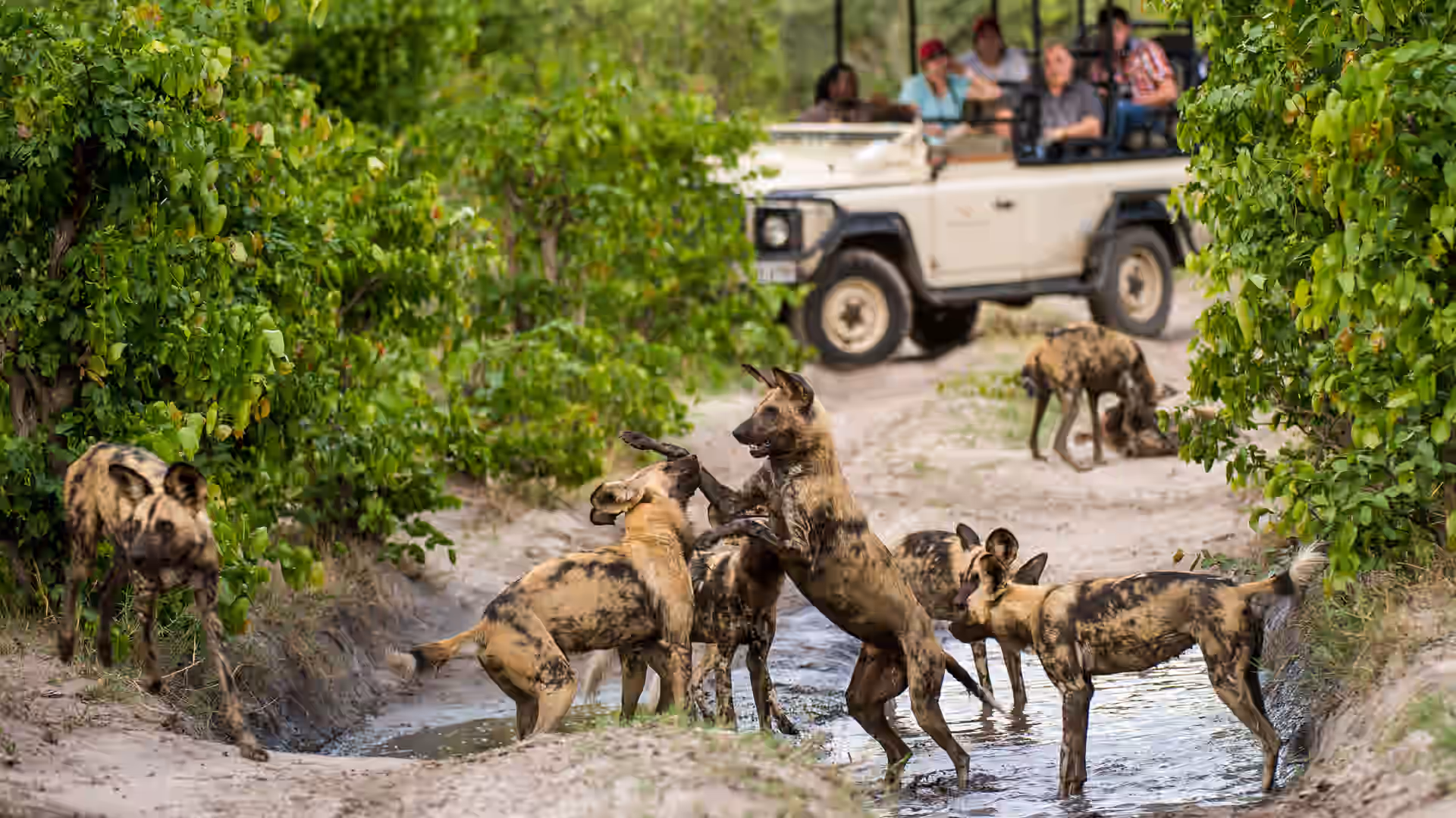 Linyanti Wildlife Reserve