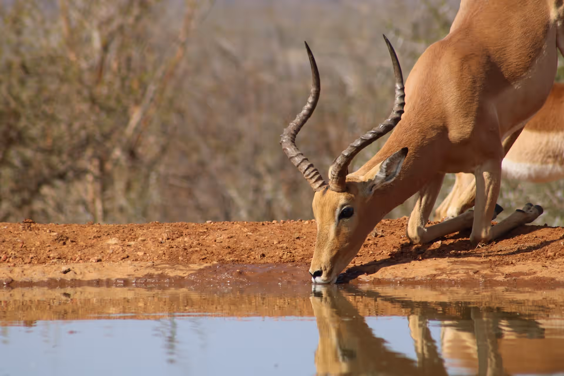 Ngorongoro Conservation Area gallery 0