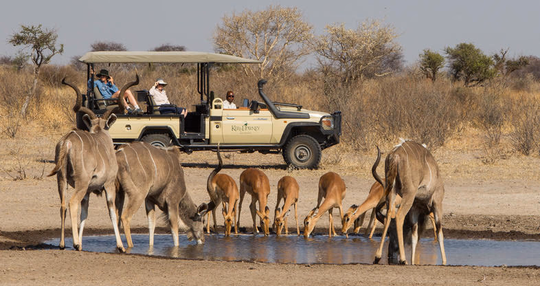 Central Kalahari Game Reserve gallery 3