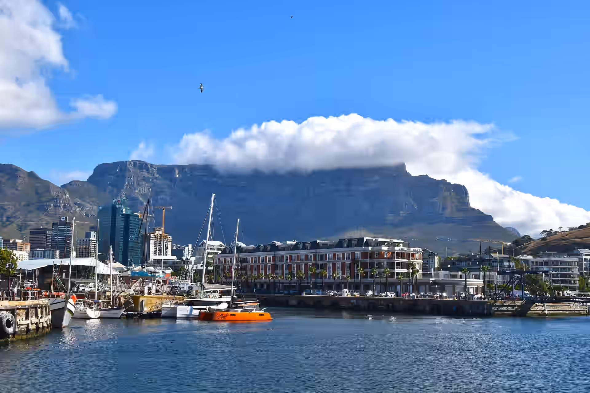 Cape Town gallery 3
