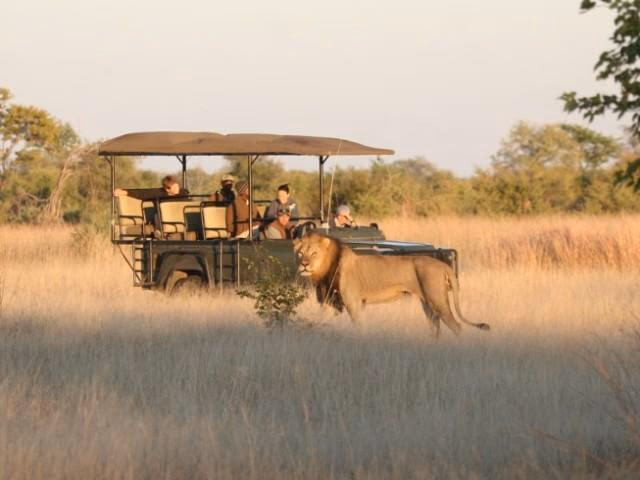 Hwange National Park gallery 1