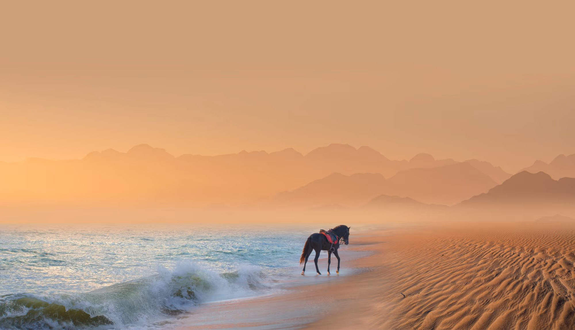 Skeleton Coast gallery 1