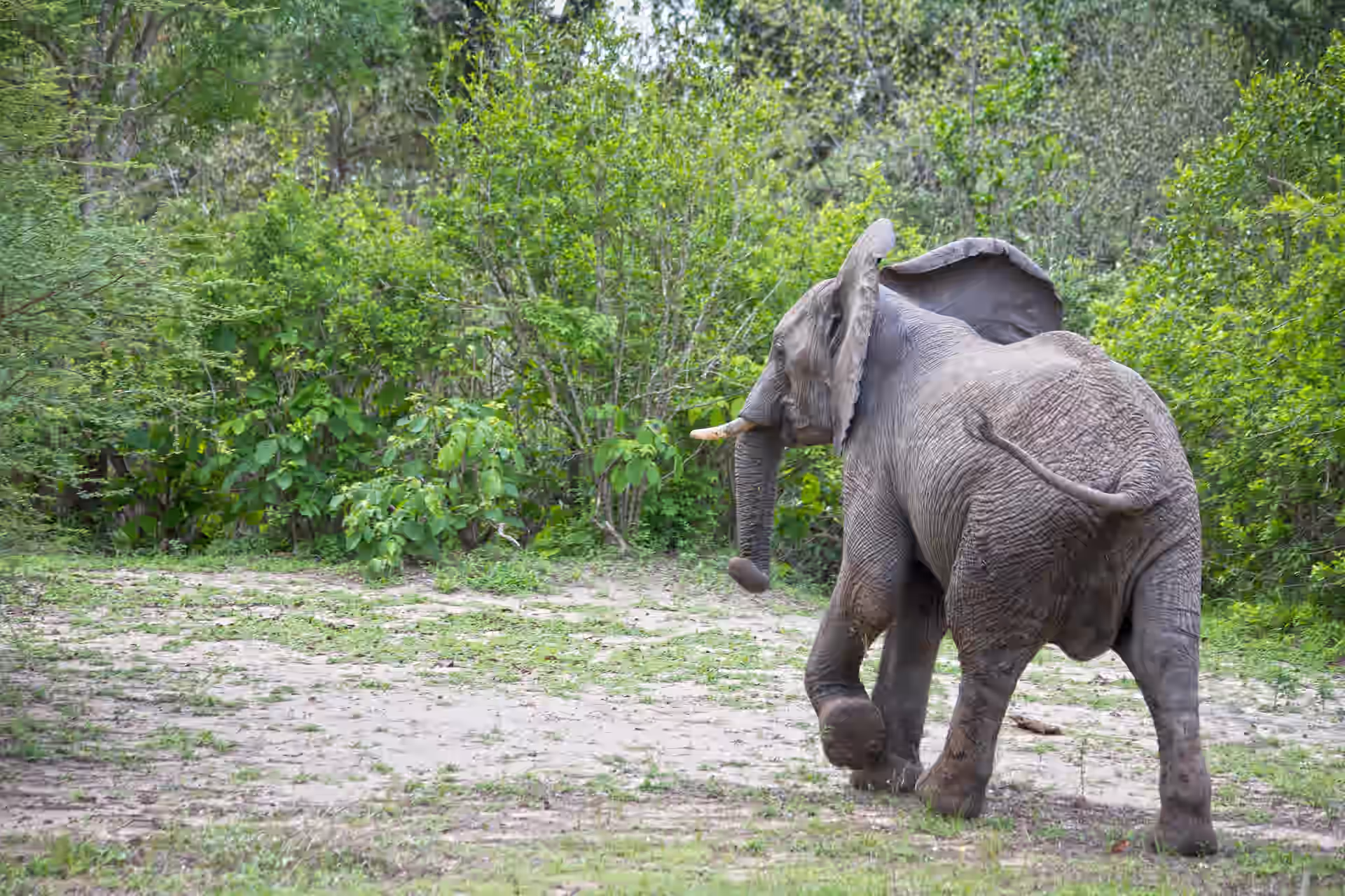 Mudumu National Park
