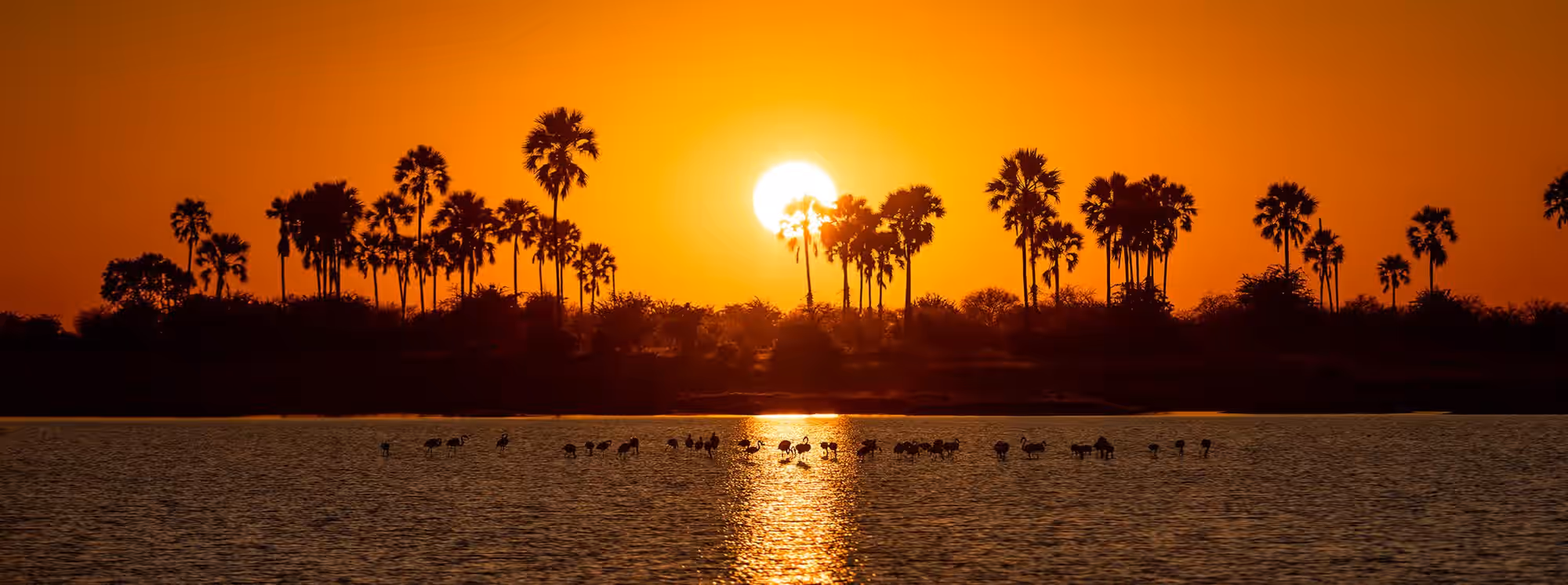 Makgadikgadi Pans National Park