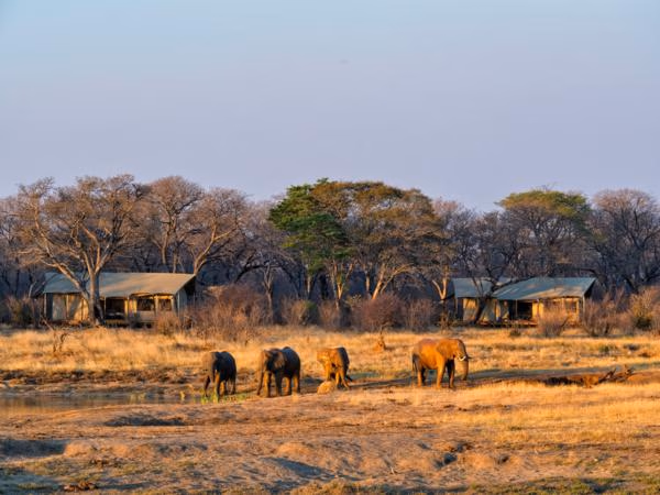 Hwange National Park gallery 3