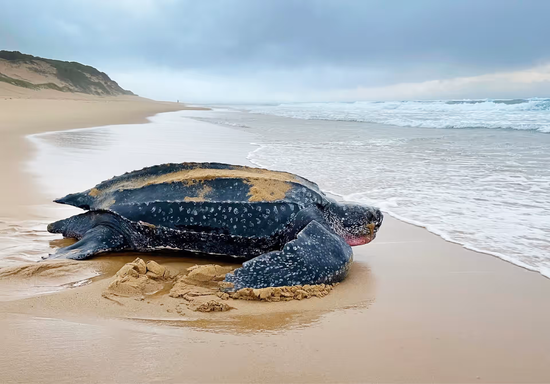 iSimangaliso Wetland Park gallery 9