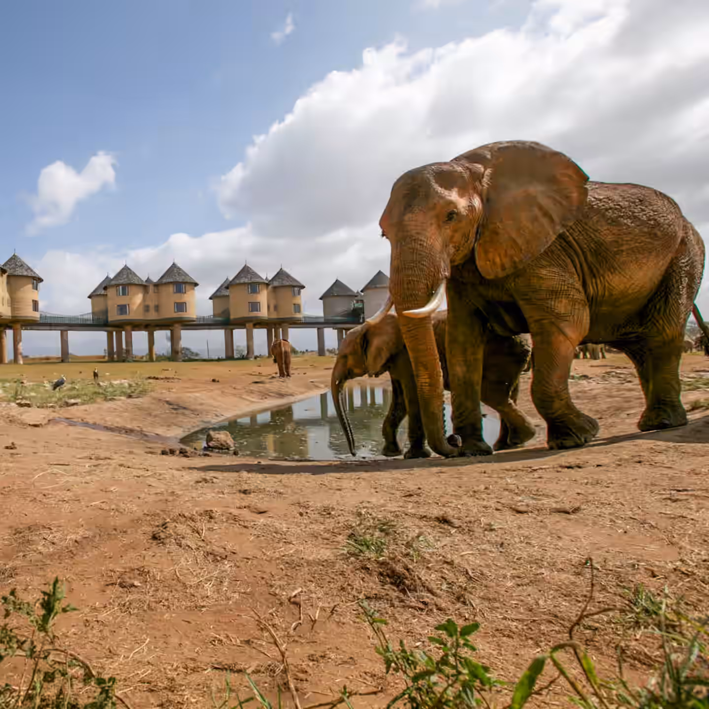 Tsavo East National Park