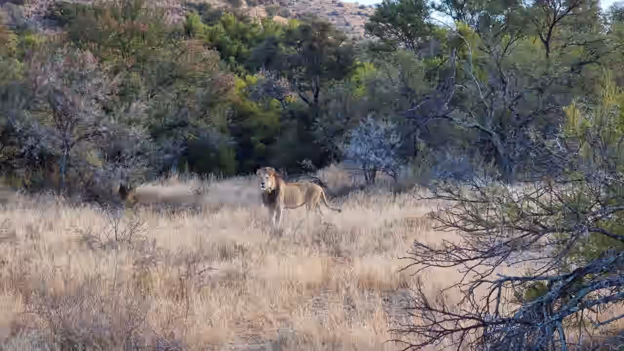 Mountain Zebra National Park gallery 0