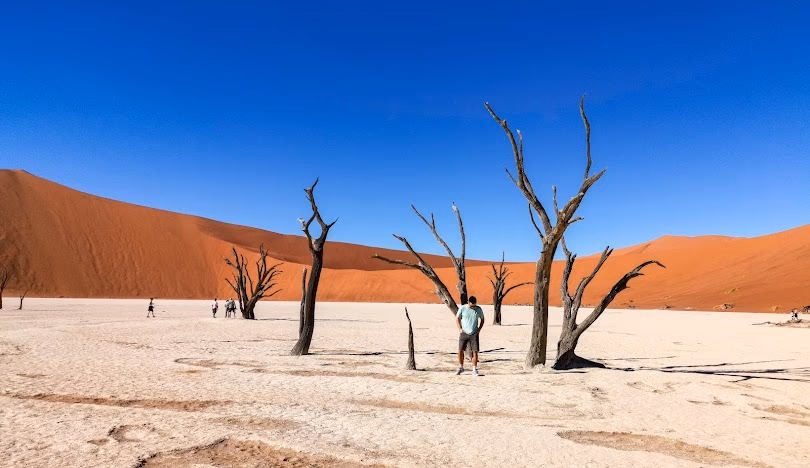 Sossusvlei gallery 2