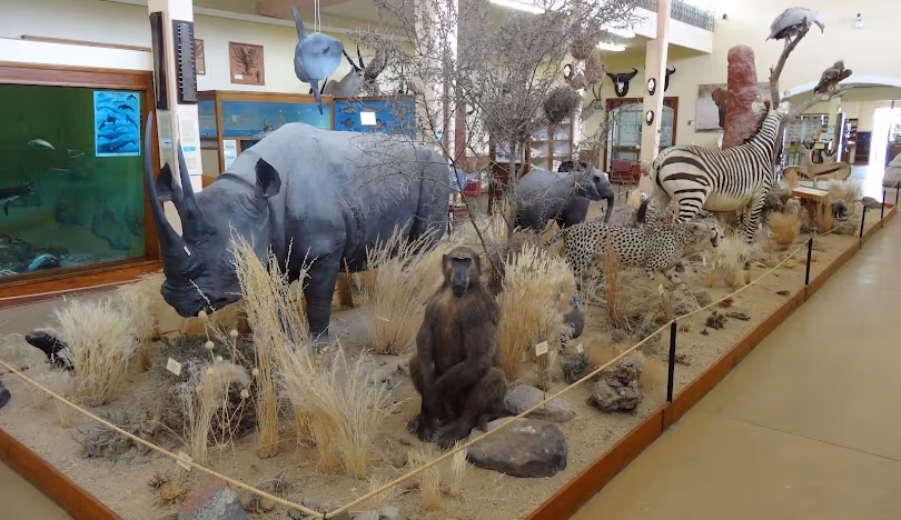 Swakopmund gallery 3