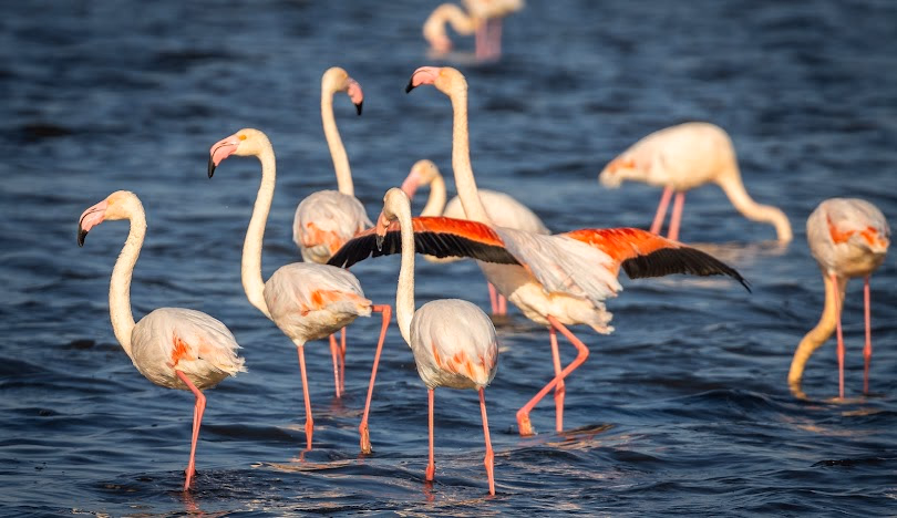 Walvis Bay gallery 4