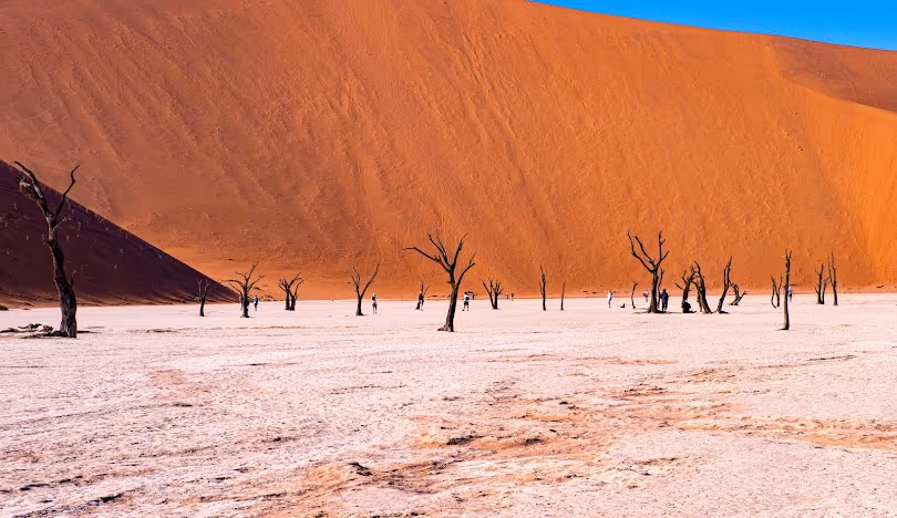 Sossusvlei gallery 1