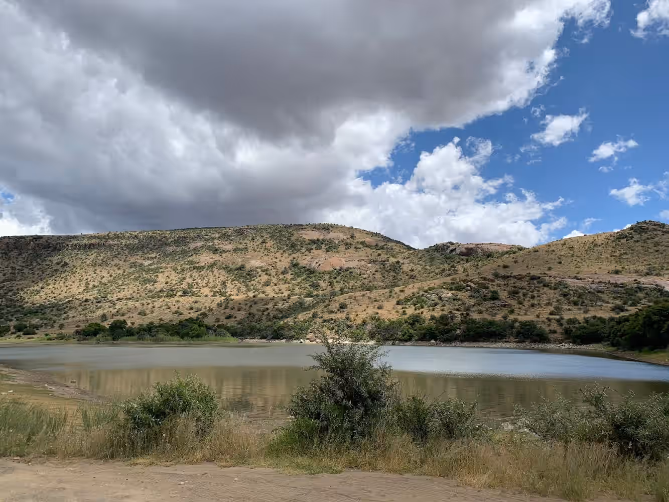 Mountain Zebra National Park gallery 3
