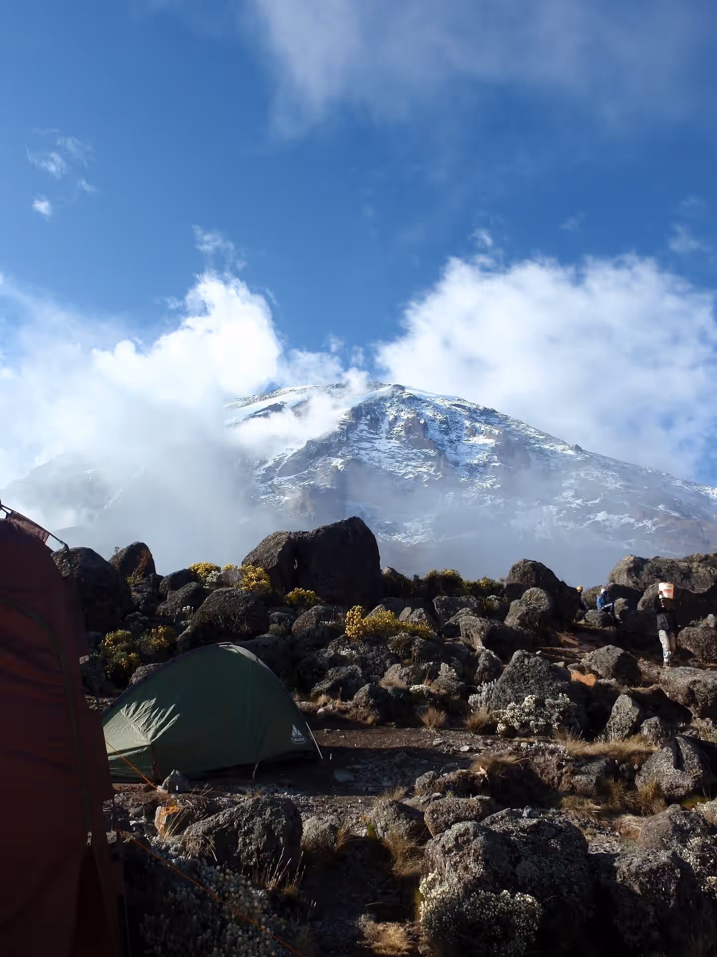 Moshi (Kilimanjaro)