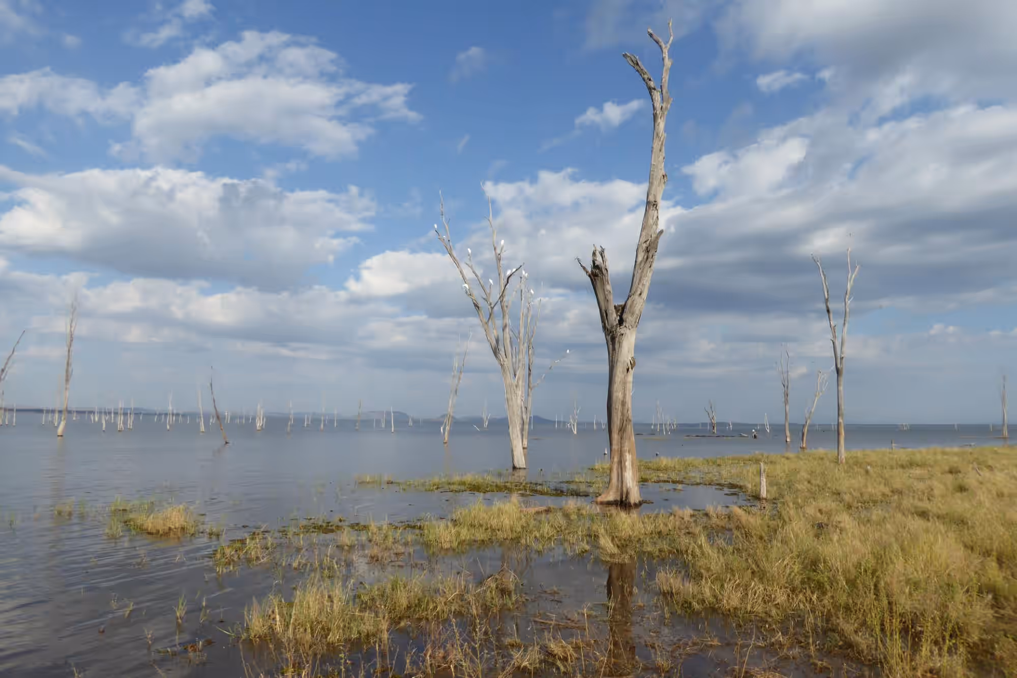 Lake Kariba & Matusadona gallery 0