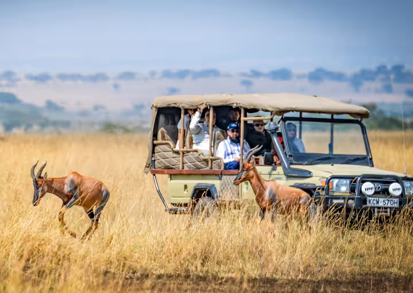 Our Expeditions