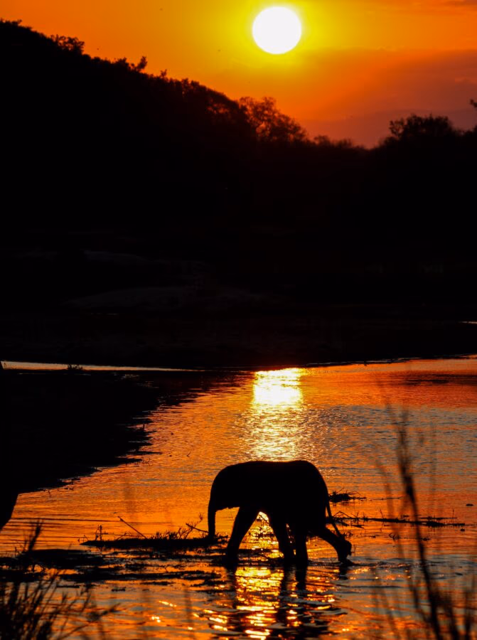 5-Day Sabi Sands and Timbavati All Inclusive Safari - 3