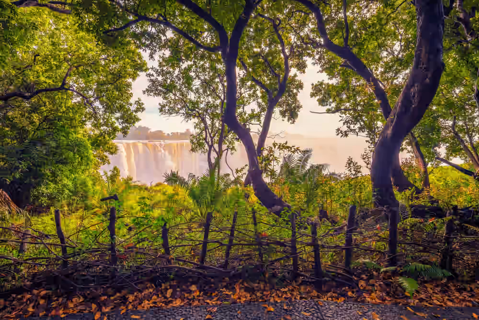 6-Day Affordable Victoria Falls & Hwange NP Experience - 5
