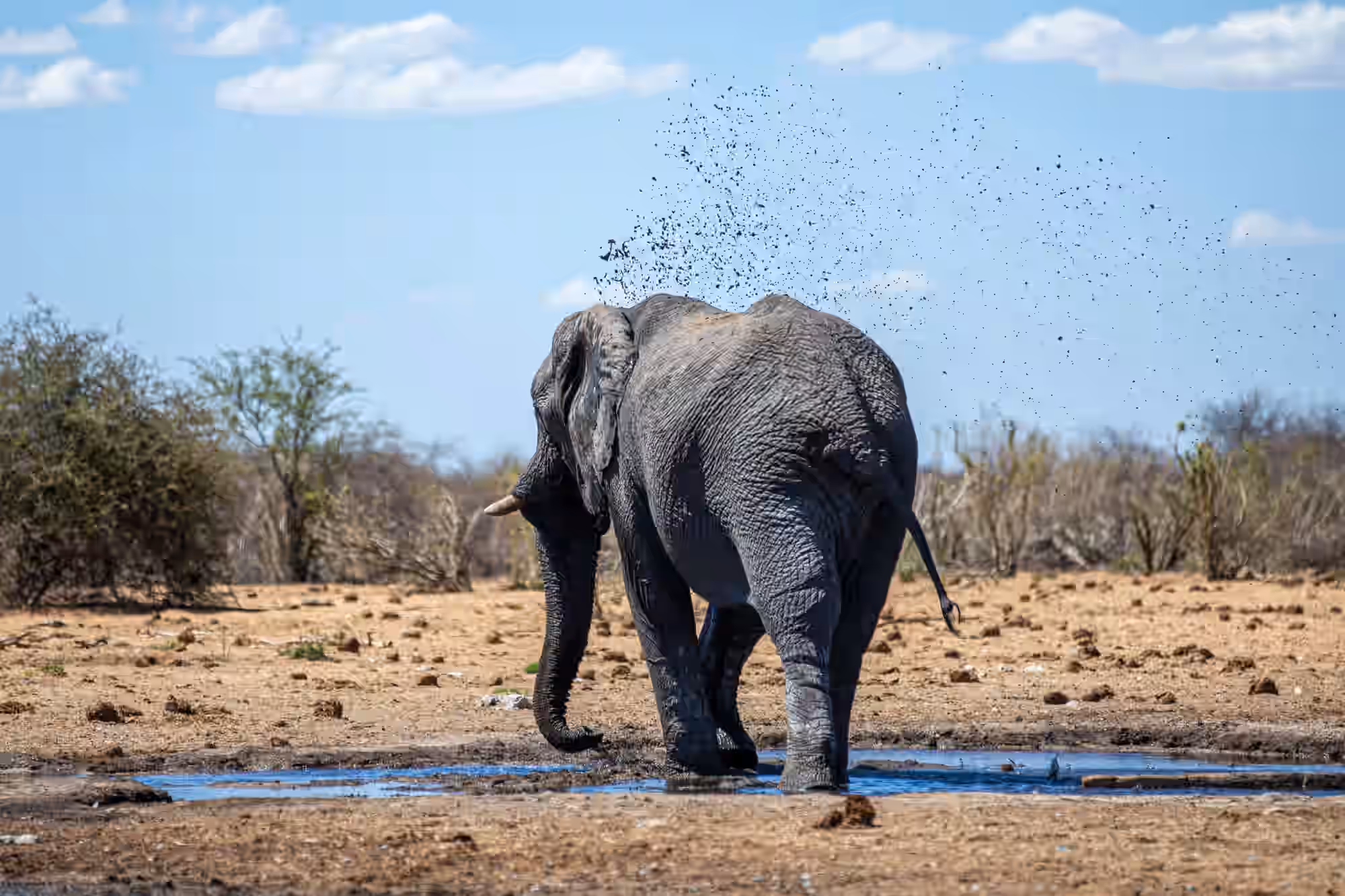 11-Day Northern Namibia Wildlife & Scenic Self-Drive Safari - 7