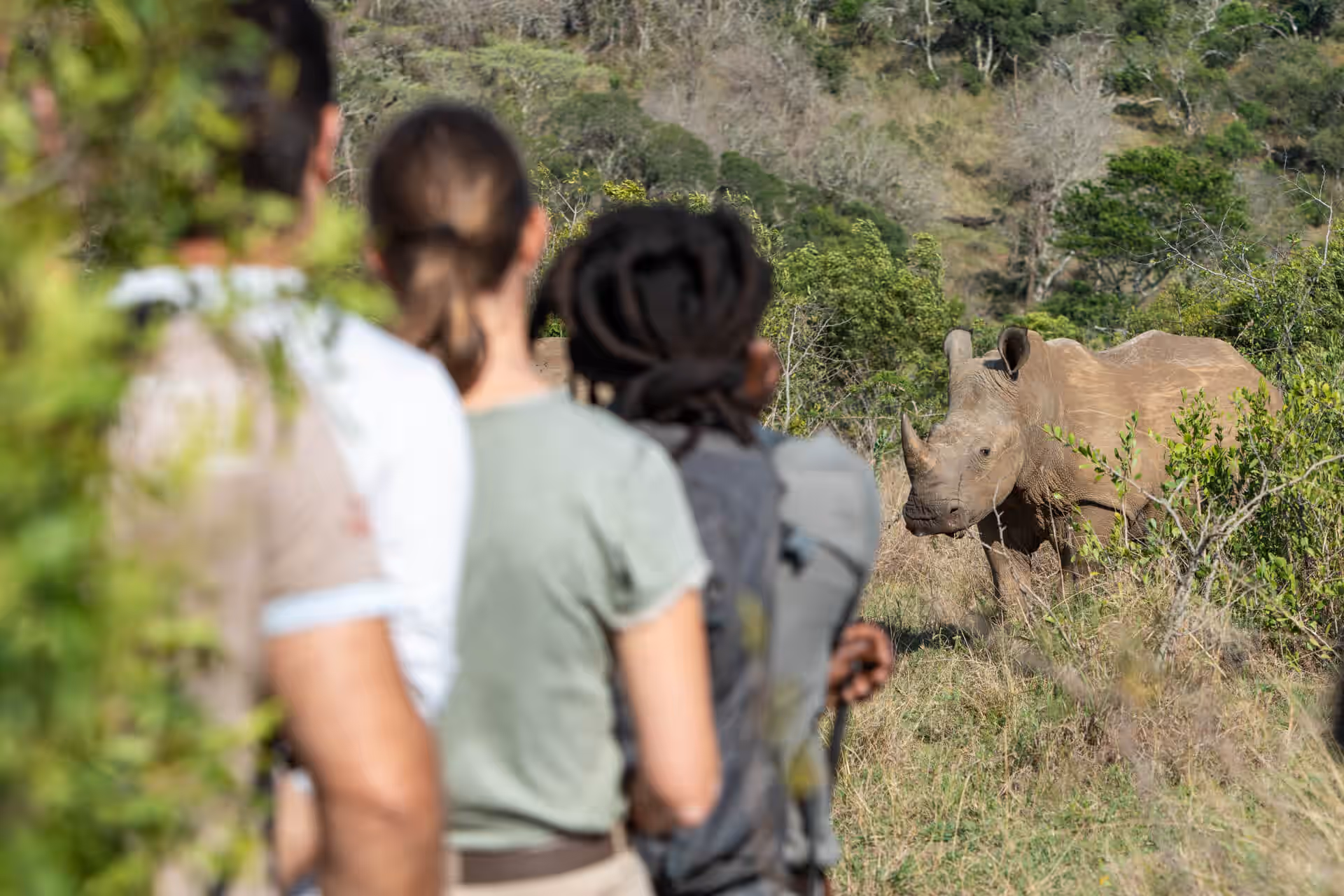 7-Day South Africa Safari: Hluhluwe & Elephant Coast Escape - 2