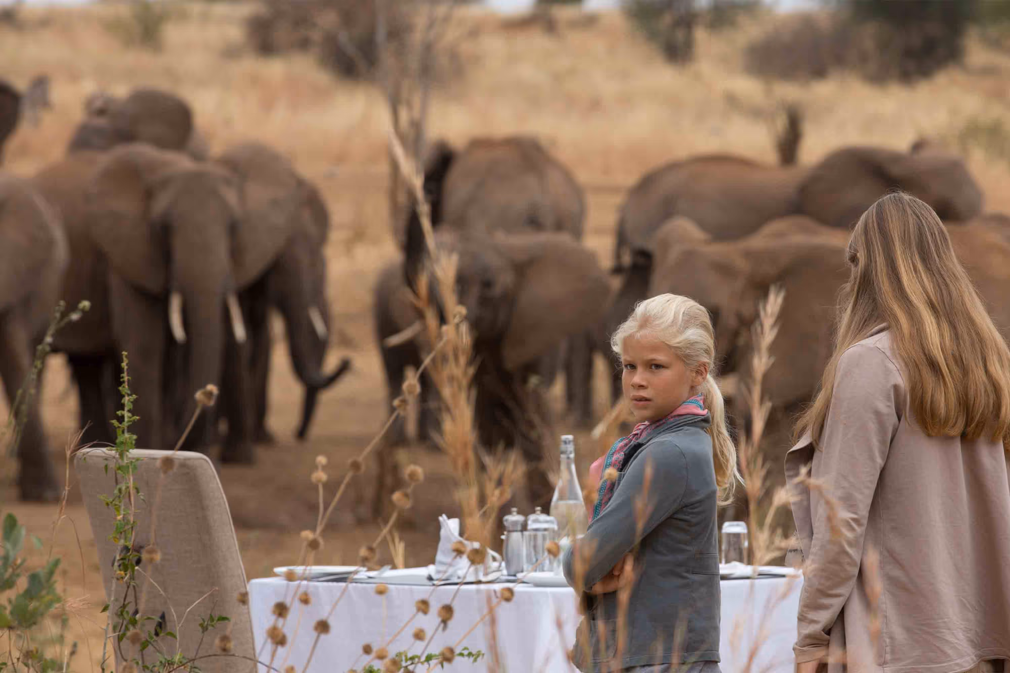 7-Day Northern Tanzania Safari: Drive-In & Fly-Out Experience - 3
