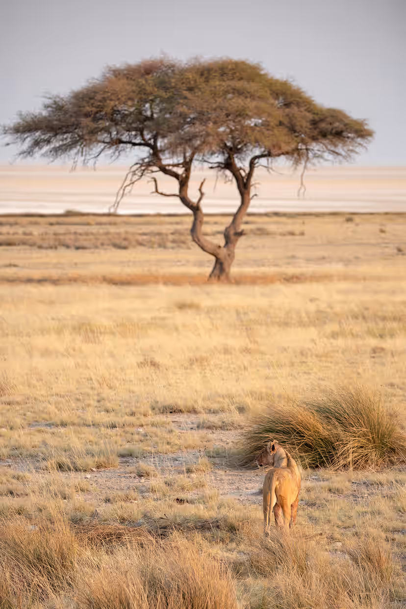 6-Day Namibia Highlights Flying Safari - 1