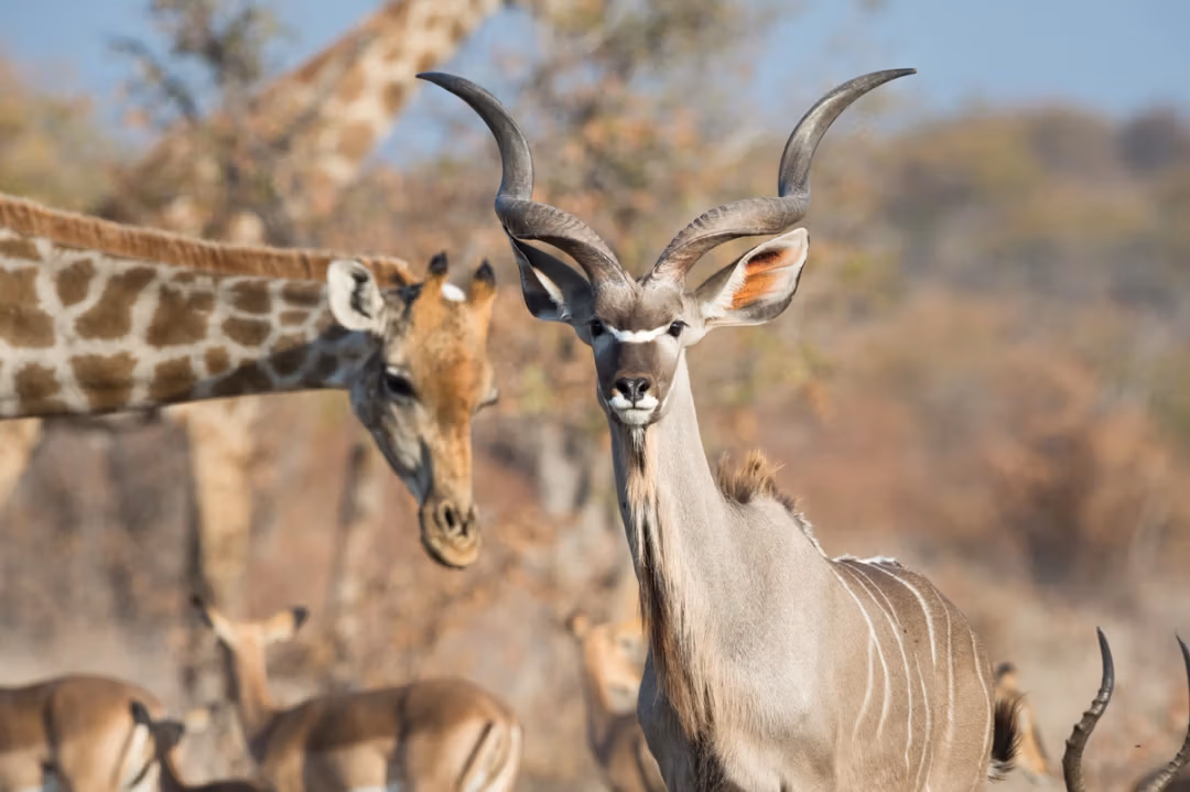 6-Day Namibia Highlights Flying Safari - 3