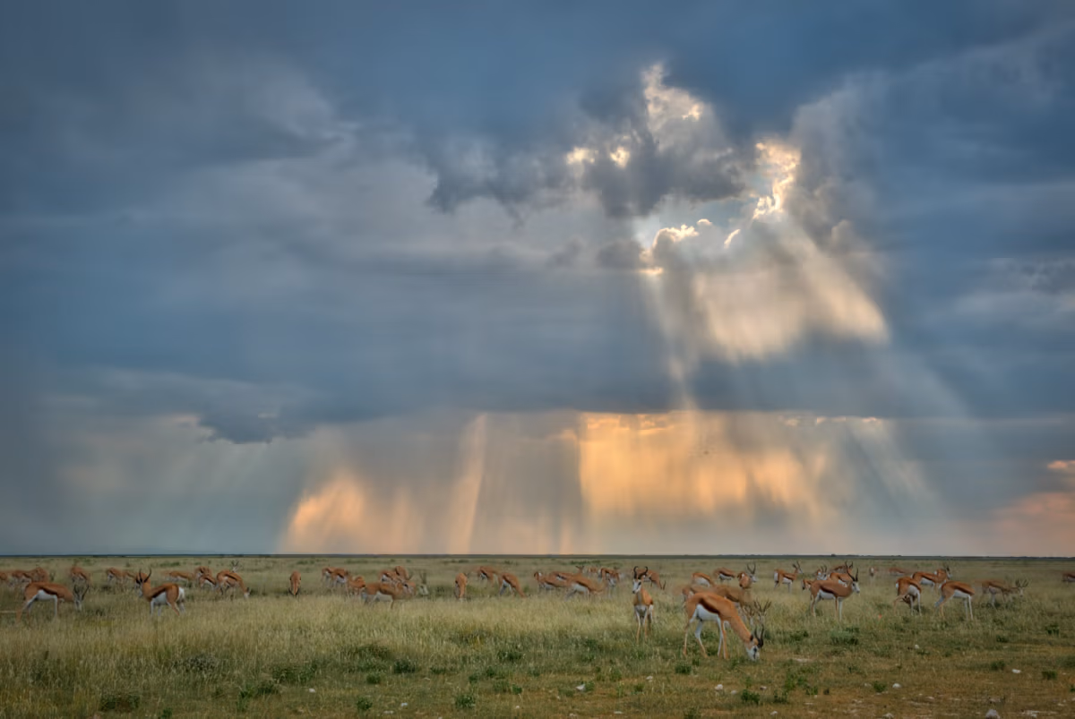 6-Day Namibia Highlights Flying Safari - 8