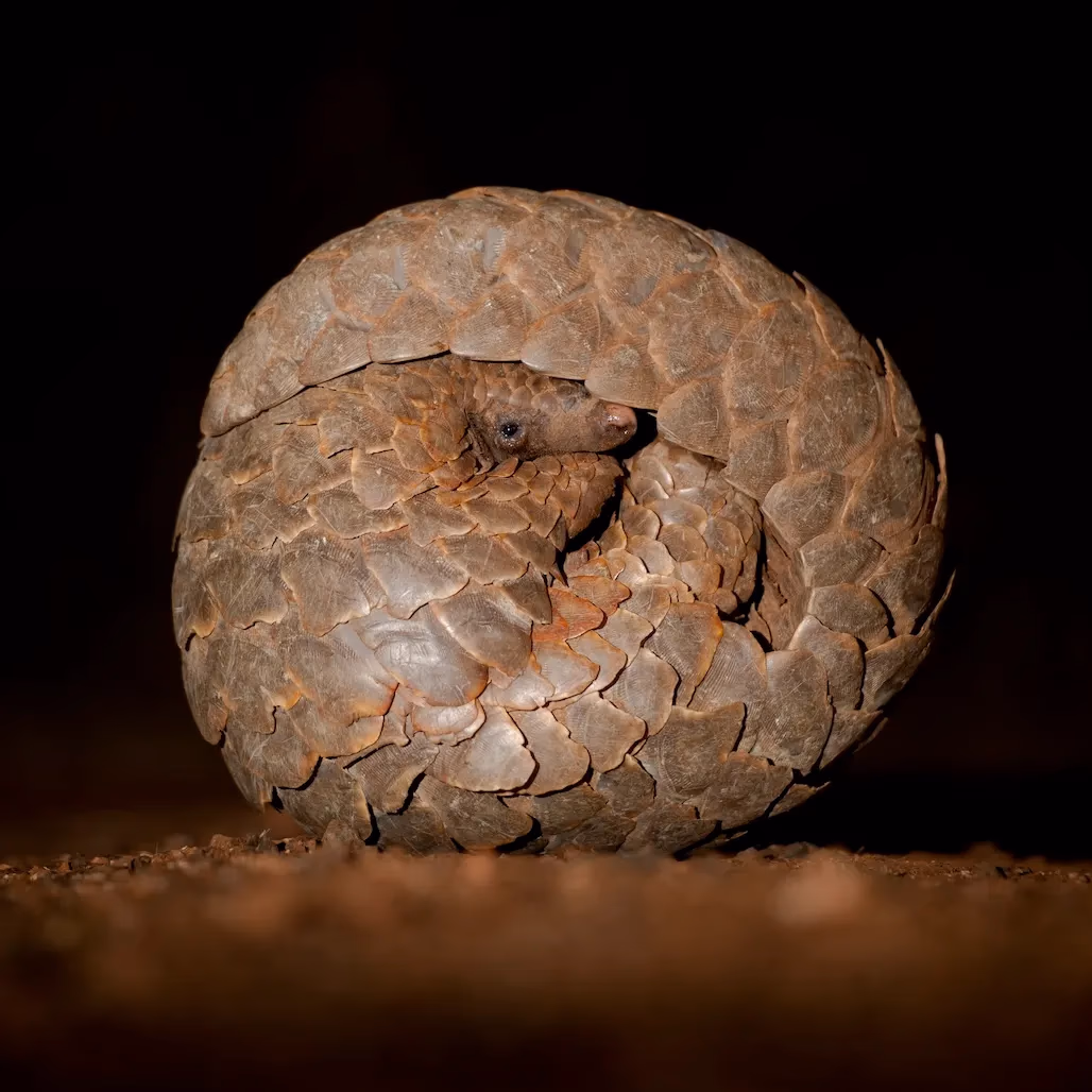 13-Day Namibia Desert, Coast & Wildlife Explorer - 7
