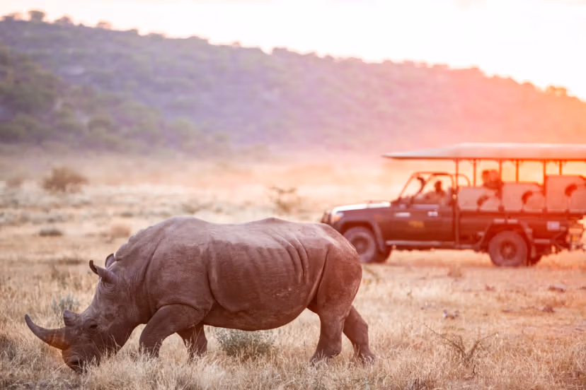 6-Day Namibia Highlights Flying Safari - 2
