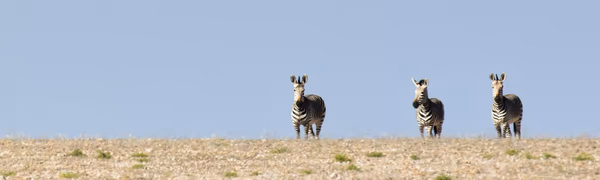 5-Day Kenya Signature Safari - 5