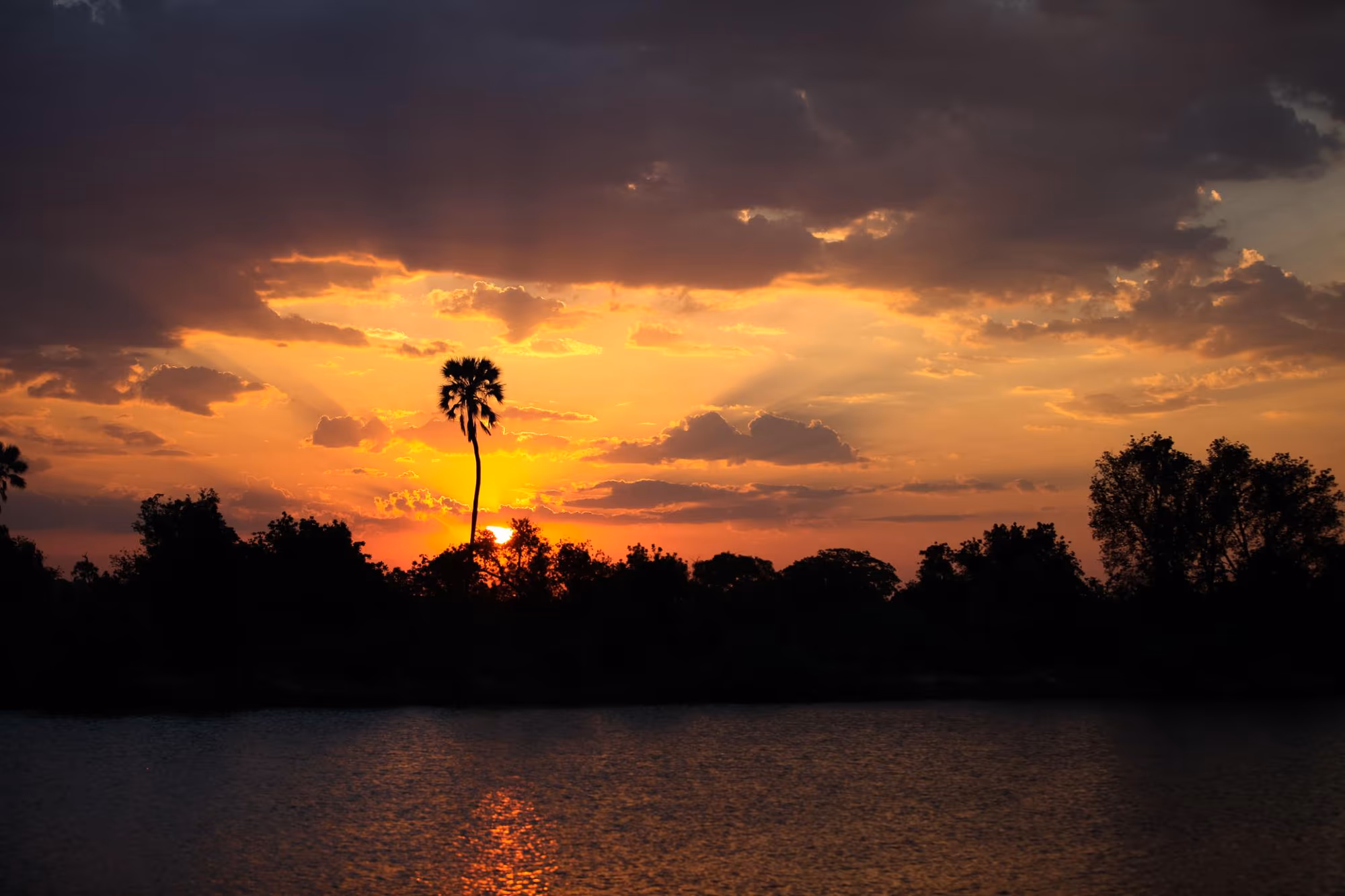 4-Day Victoria Falls & Hwange Full-Day Game Drive - 3