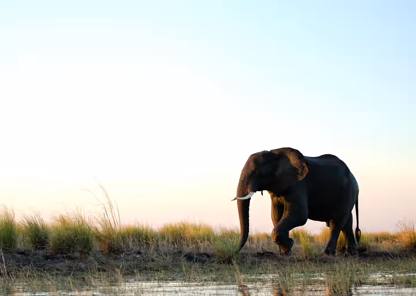 3-Day Wildlife Safari – Akagera National Park - 5