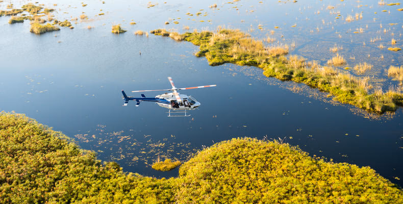 5-Day Moremi Hippo Tented Safari - 2