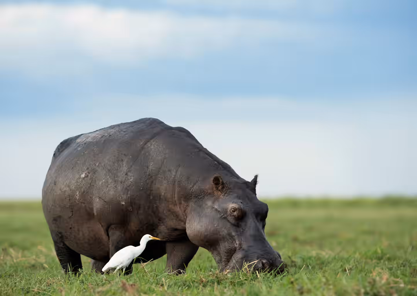 6-Day Rwanda Wildlife, Culture & Lake Kivu Experience - 3