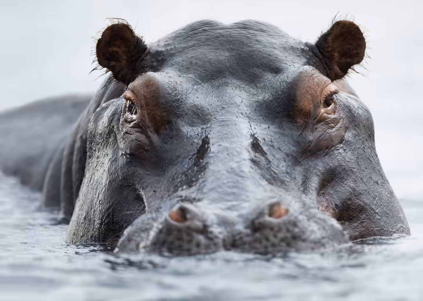 8-Day Wildlife Adventure & Outdoors Activities Mid-Range Safari - 2