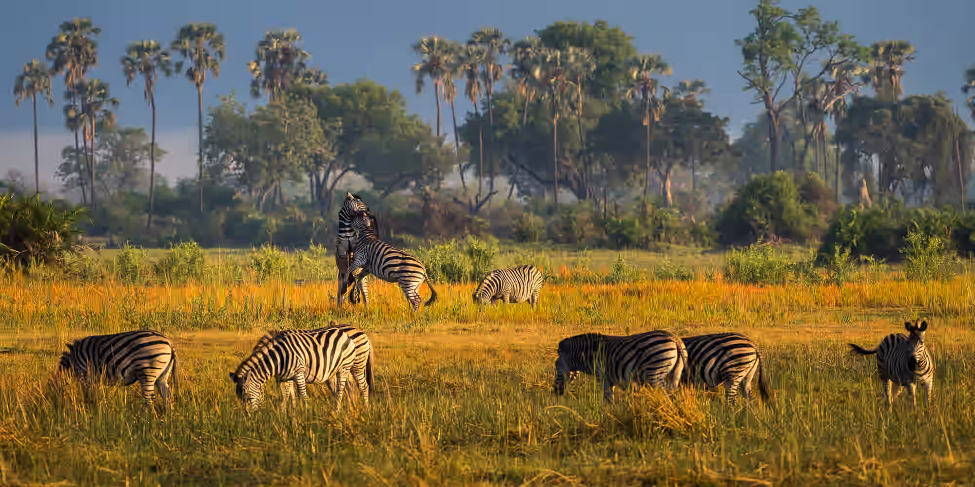 8-Day Victoria Falls, Chobe & Okavango Delta Explorer - 3