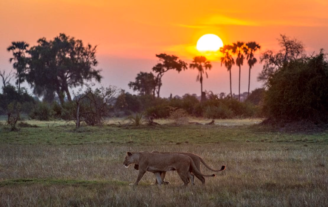 8-Day Victoria Falls, Chobe & Okavango Delta Explorer - 4