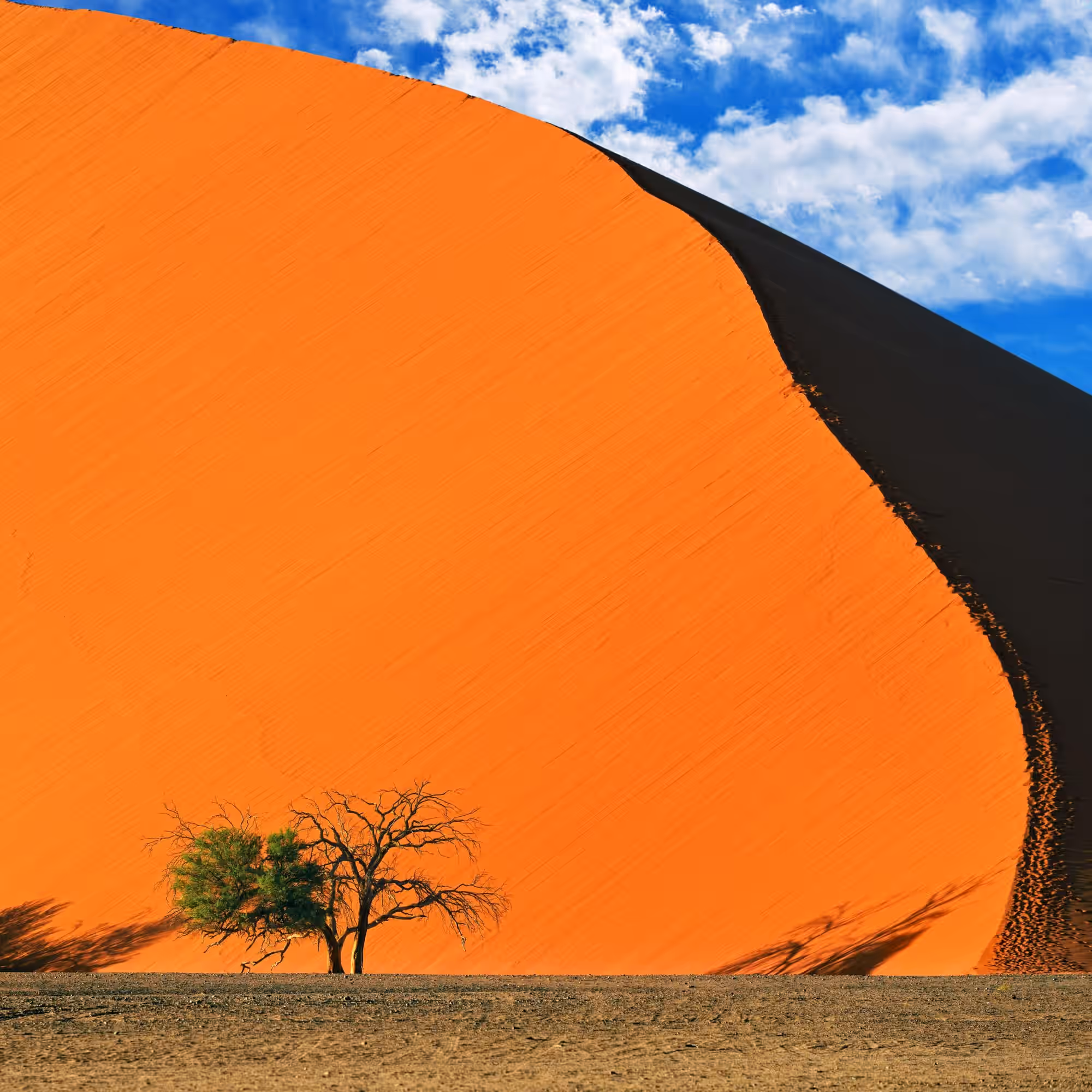 13-Day Namibia Desert, Coast & Wildlife Explorer - 5