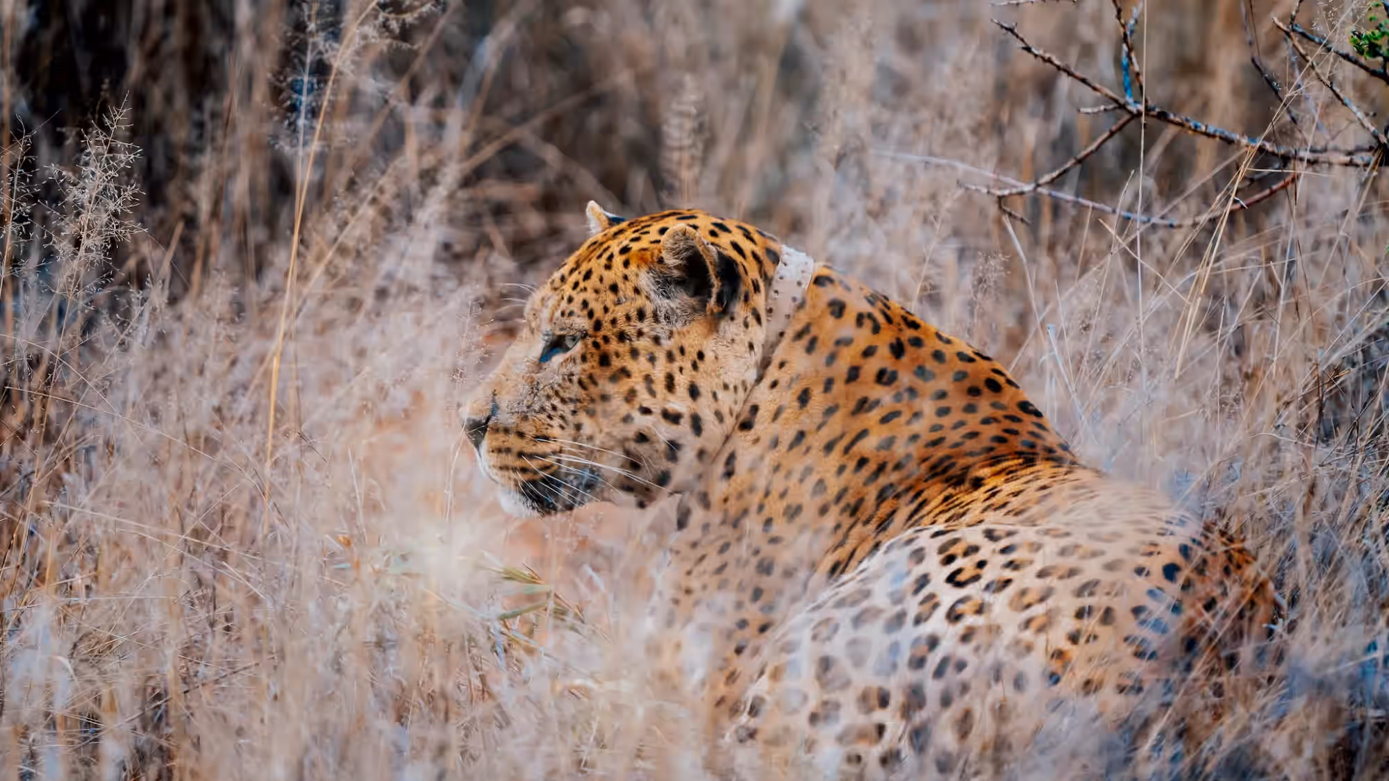 11-Day Northern Namibia Wildlife & Scenic Self-Drive Safari - 6