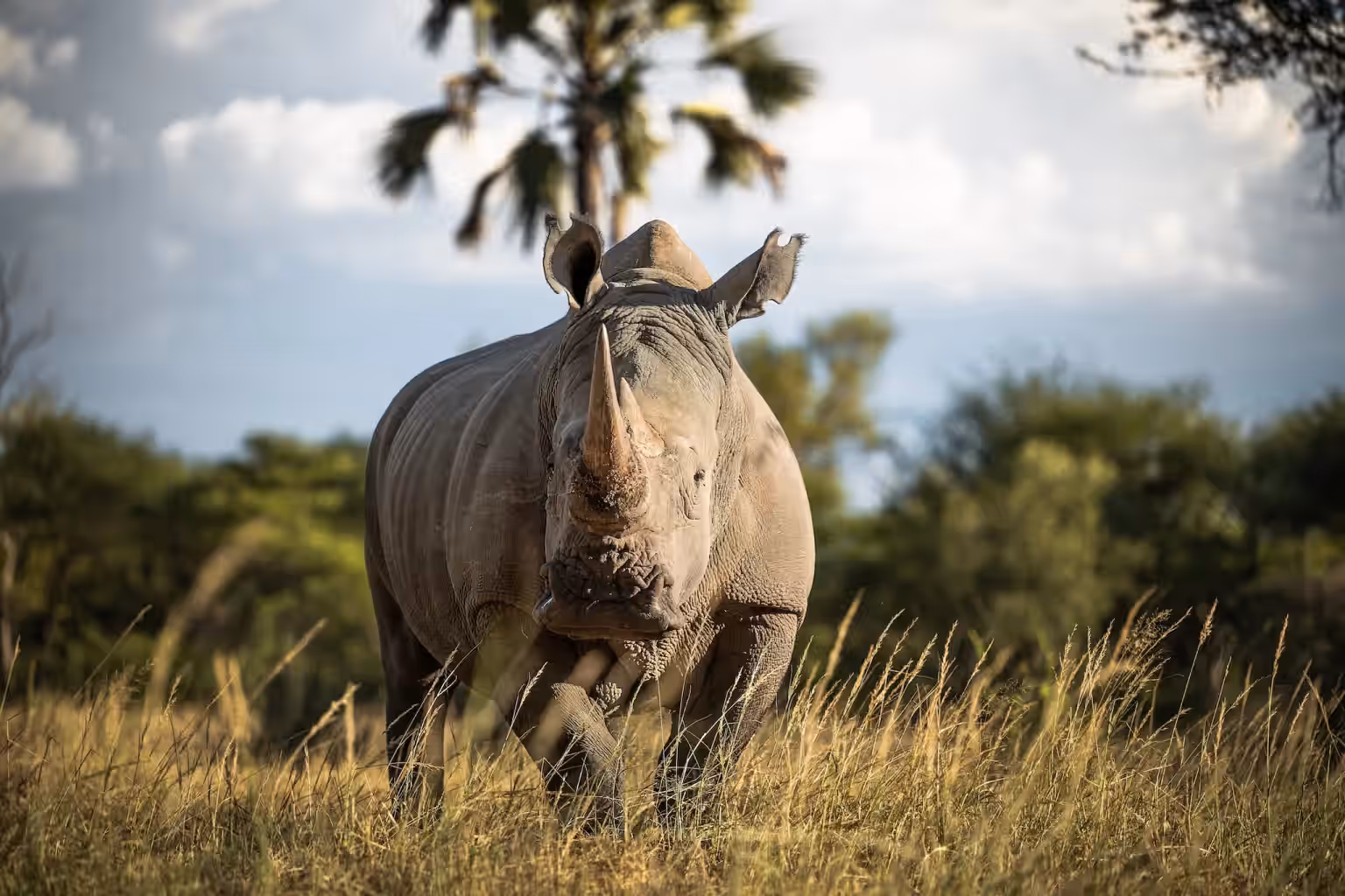 8-Day Classic Namibia Safari - 7