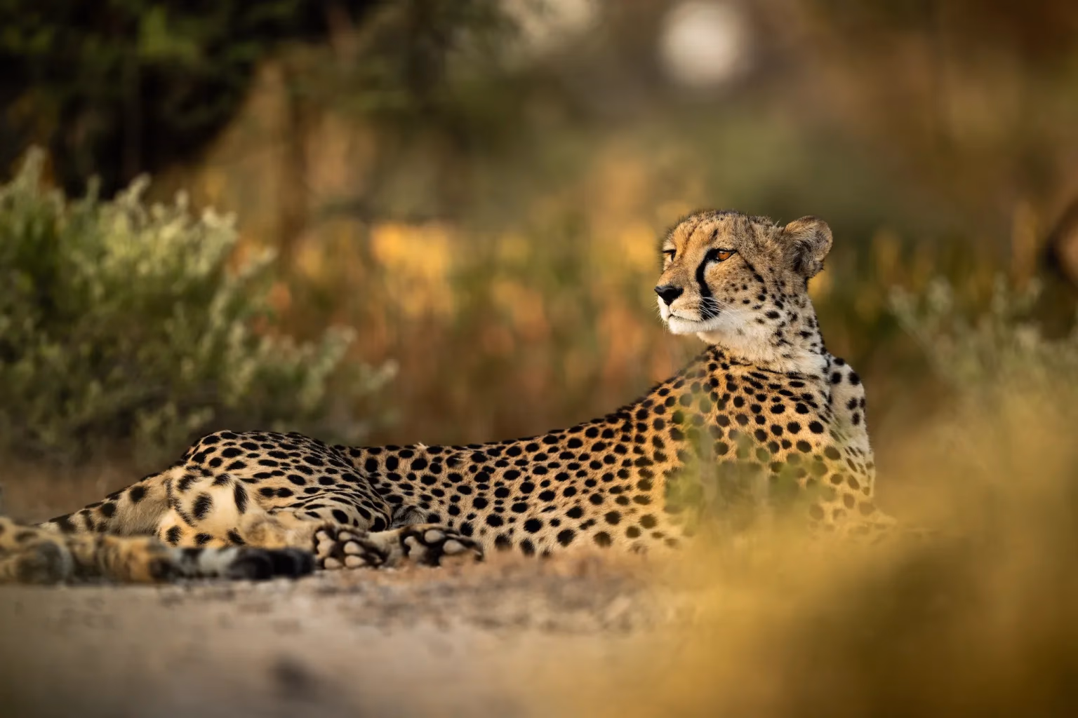 8-Day Classic Namibia Safari - 3