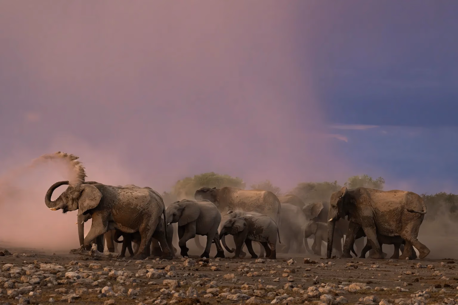 8-Day Classic Namibia Safari - 6