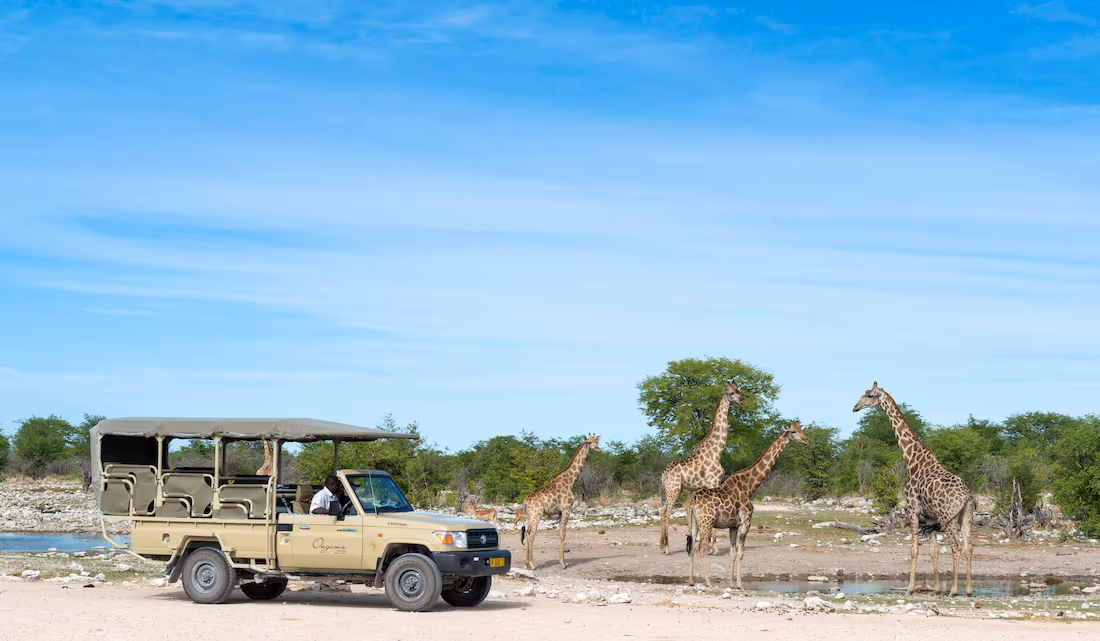 6-Day Ultimate Namibian Fly-in Safari - 1