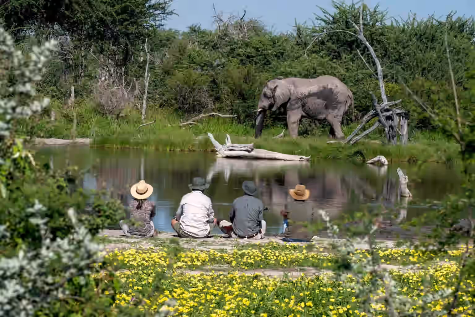 6-Day Ultimate Namibian Fly-in Safari - 7