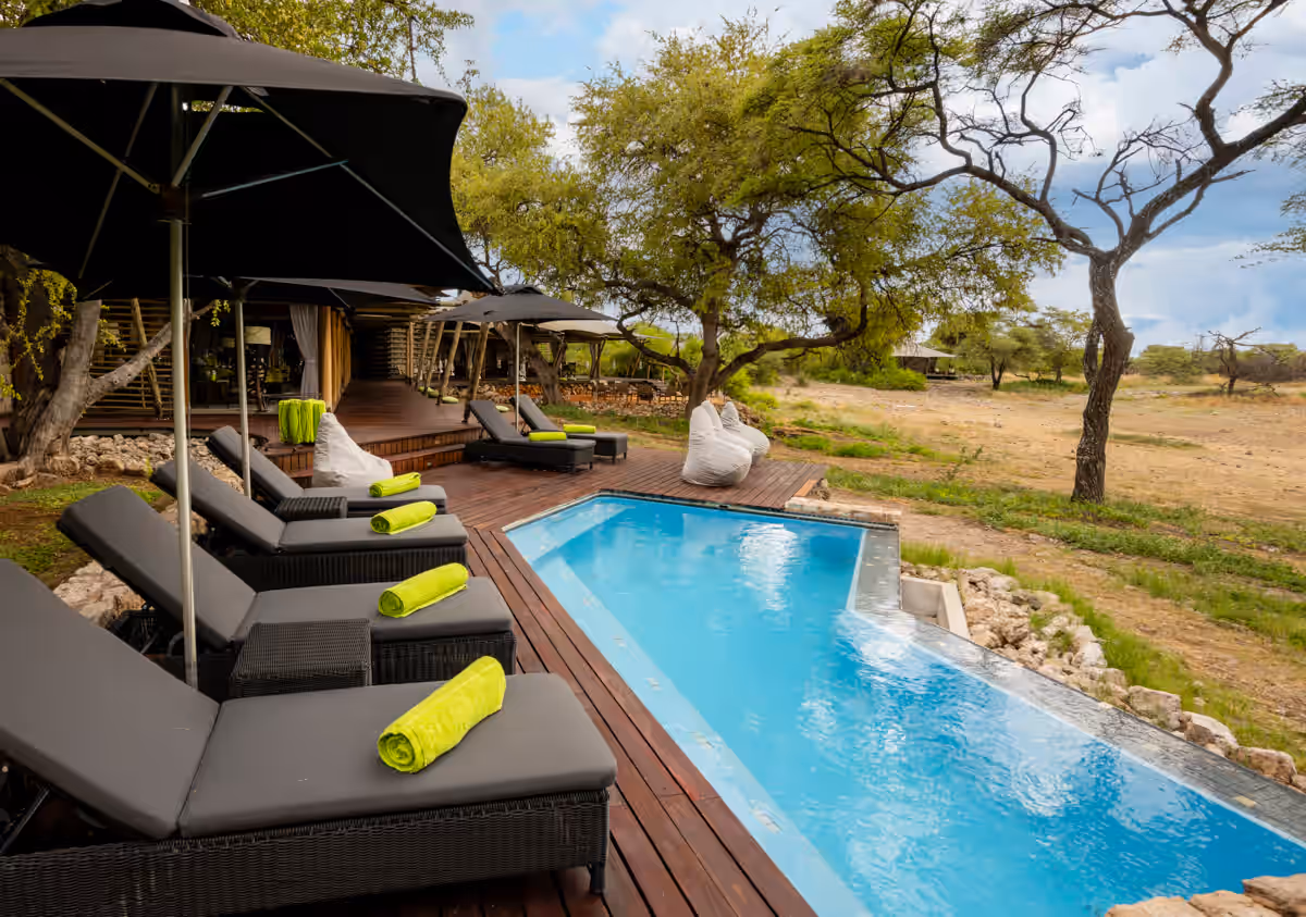 8-Day Classic Namibia Safari - 8