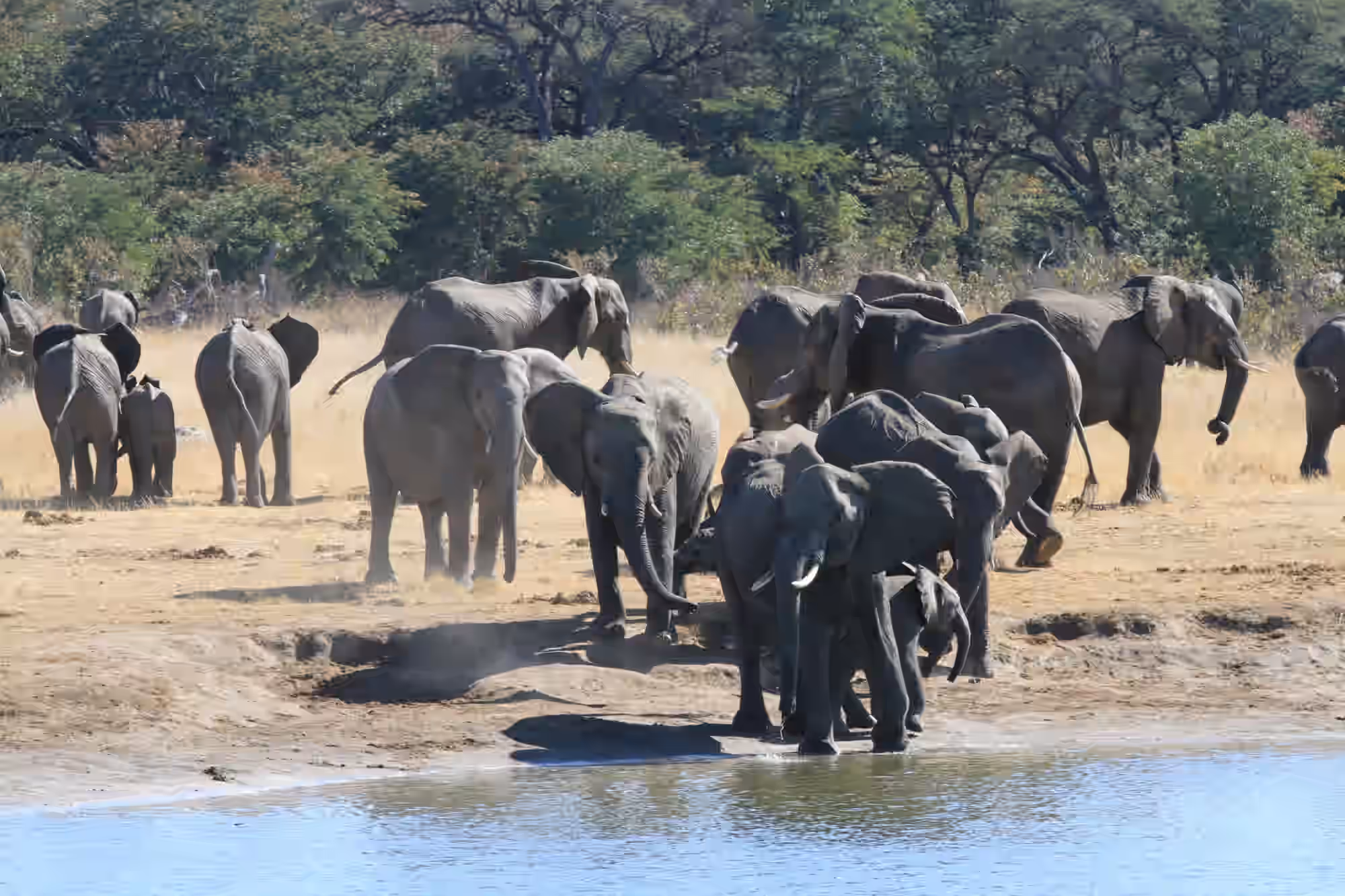 6-Day Affordable Victoria Falls & Hwange NP Experience - 1